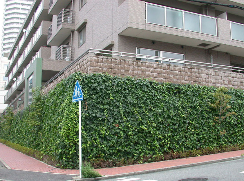 つる植物壁面緑化システム