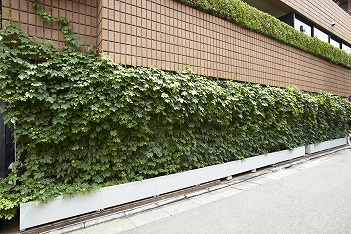 壁面緑化プランター