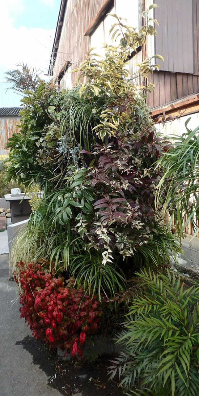 立体花壇